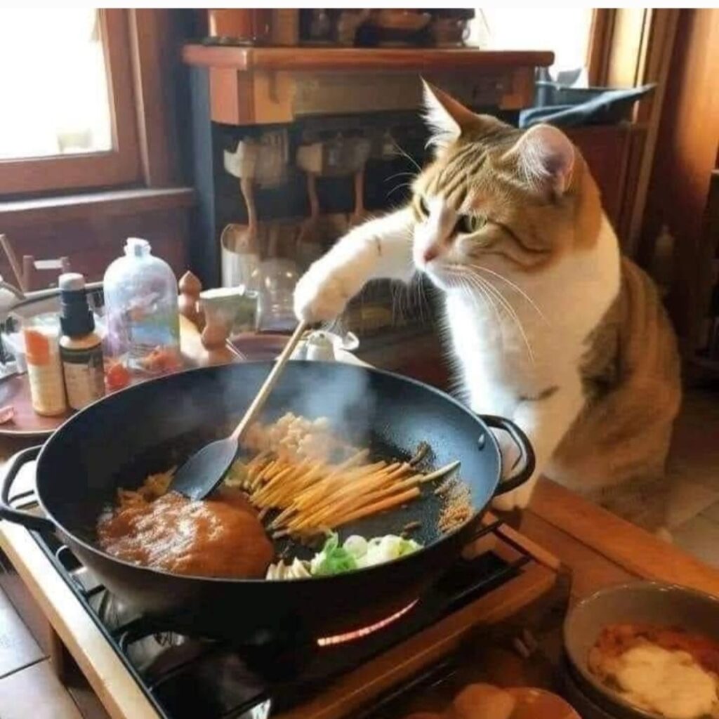Vilken fisk är nyttigast för katten?